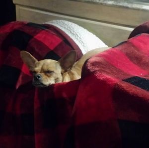 Meet your Posher, Lori